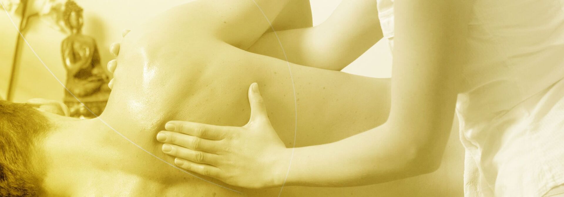 SIMEG - sacroiliac medical expert group